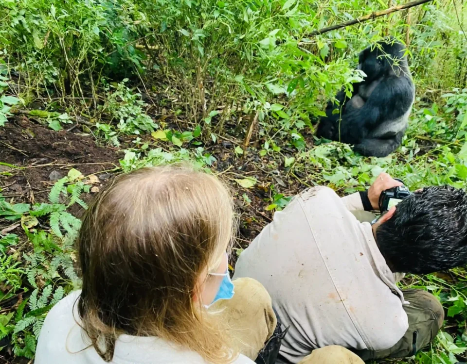 How Fit Do You Need to Be for Uganda Gorilla Trekking?