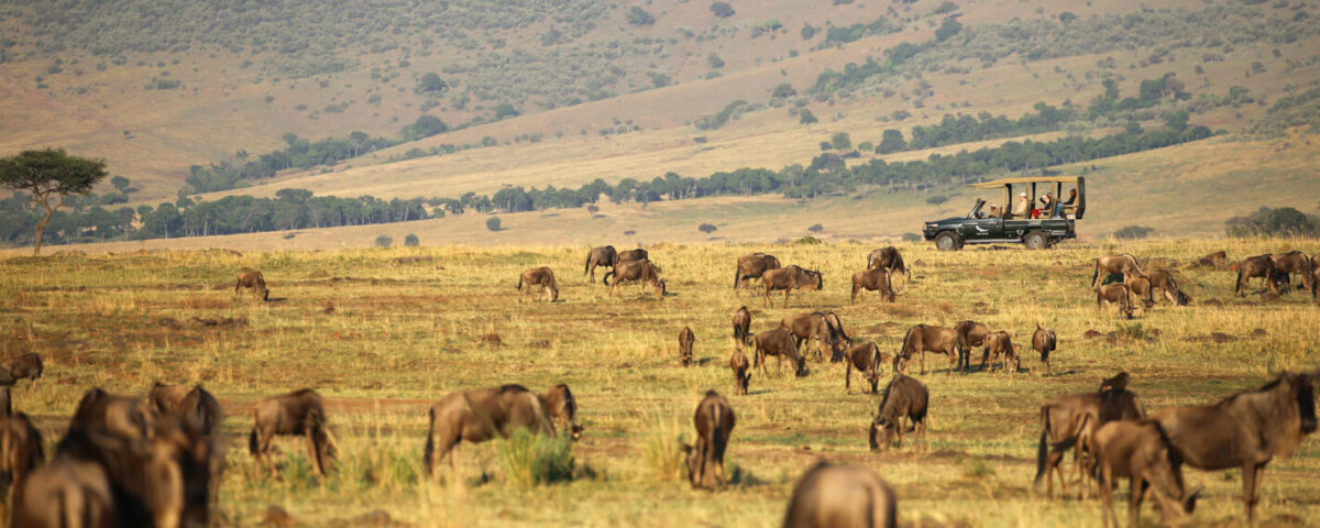 How Does Wildlife Viewing in the Mara Triangle Differ from the Central or Eastern Maasai Mara?