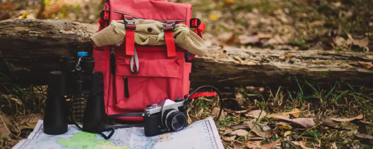 How Does a Fly-In Safari Benefit Travelers with Mobility Constraints or Limited Time?