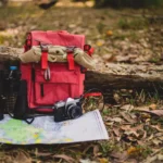 How Does a Fly-In Safari Benefit Travelers with Mobility Constraints or Limited Time?