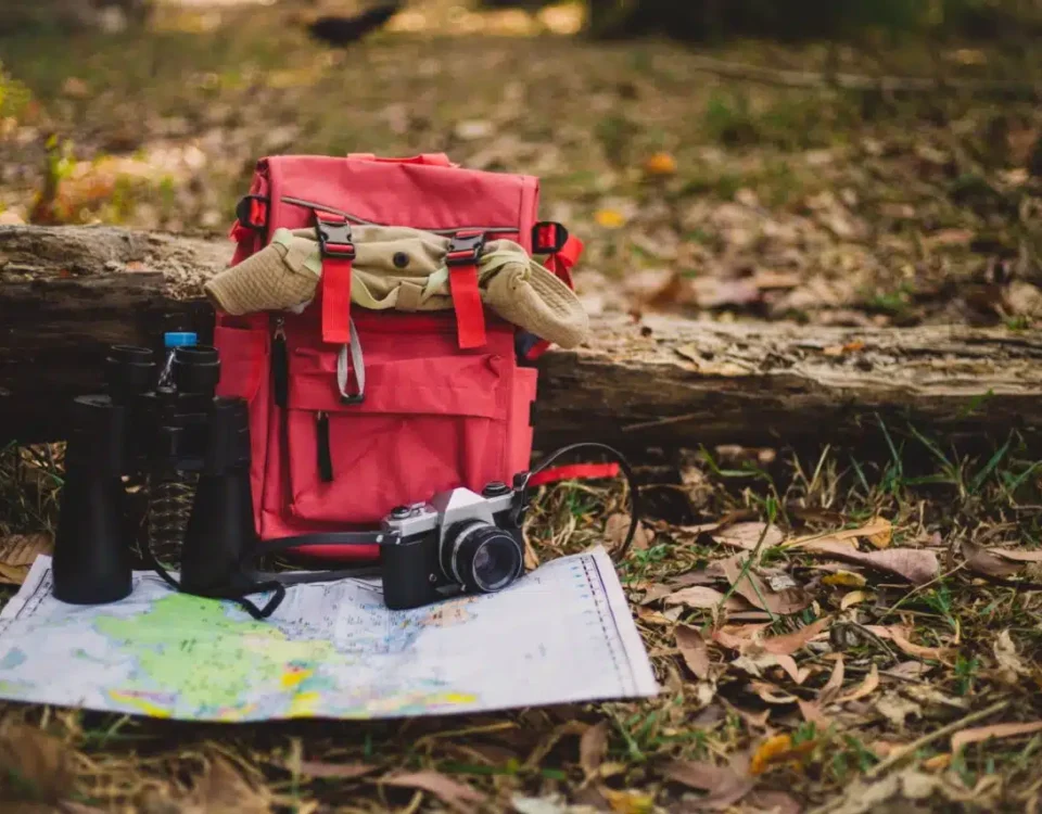 How Does a Fly-In Safari Benefit Travelers with Mobility Constraints or Limited Time?