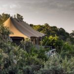 What Gourmet Dining Experiences, Such as Bush BBQs or Private Sundowners, Are Offered at Angama Mara?