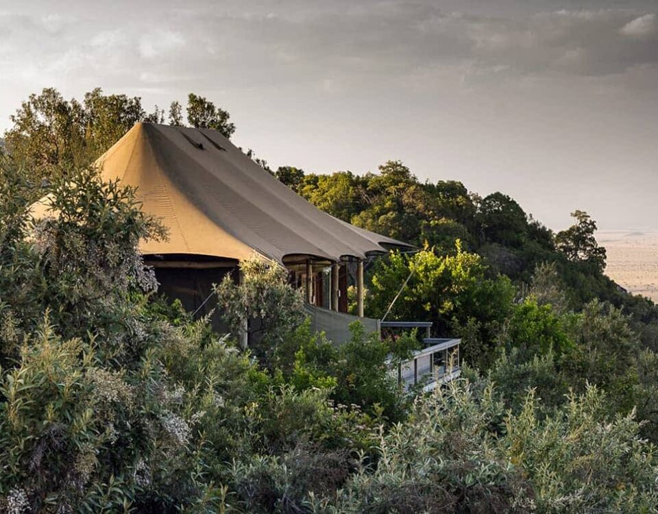 What Gourmet Dining Experiences, Such as Bush BBQs or Private Sundowners, Are Offered at Angama Mara?
