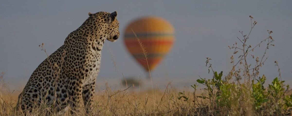 Is a Hot Air Balloon Safari Over the Maasai Mara Easily Coordinated from Angama Mara?