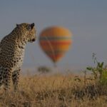 Is a Hot Air Balloon Safari Over the Maasai Mara Easily Coordinated from Angama Mara?