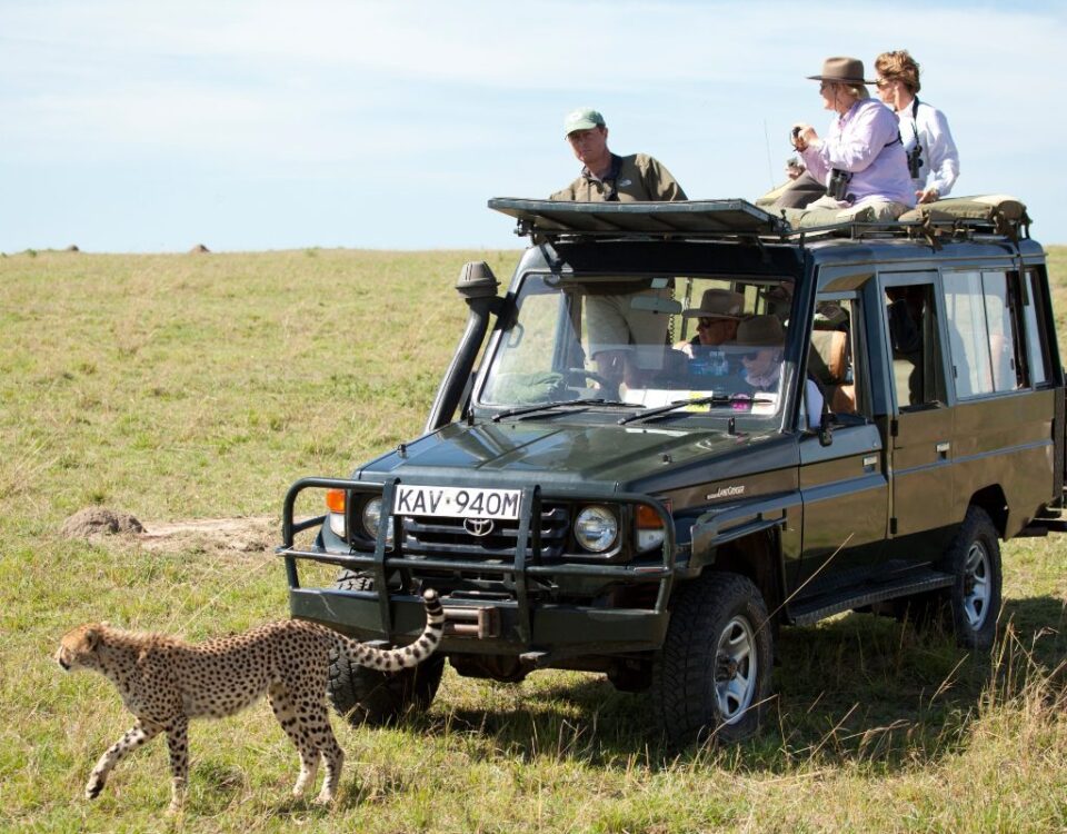 Are Airport Transfers Conducted in Open-Sided or Closed Luxury Safari Vehicles?